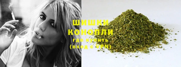 ешки Бородино