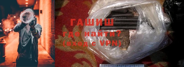 ешки Бородино