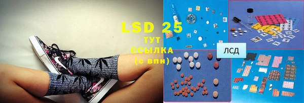 ешки Бородино