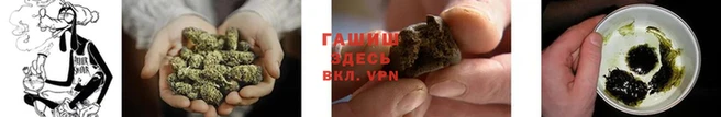ешки Бородино