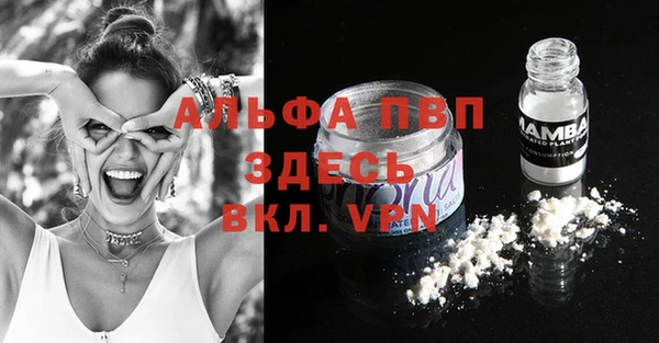 ешки Бородино