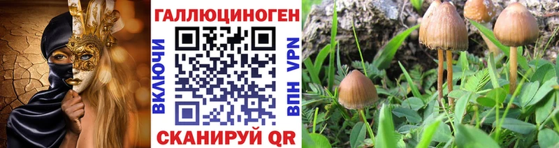 Галлюциногенные грибы Cubensis  Кондопога 